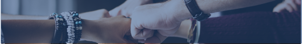 Interim & Functional HR Solutions header